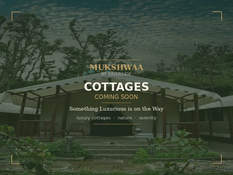 Luxury Cottage - Coming Soon